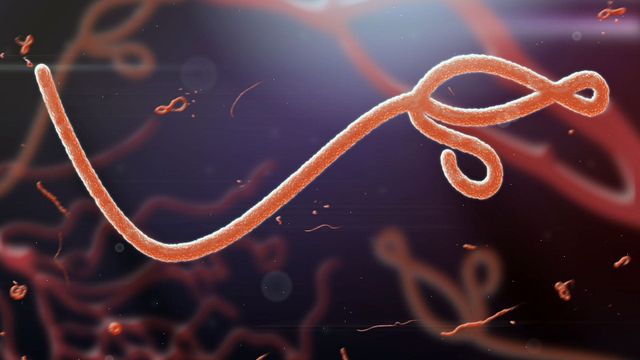 African Group warns Ebola outbreak exposes weaknesses in global health systems