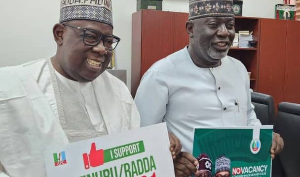 Radda orders inclusion of media aides in Tinubu/Dikko 2027 campaign council