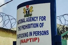 NAPTIP receives Access Bank delegation, seek collaboration on combating human trafficking