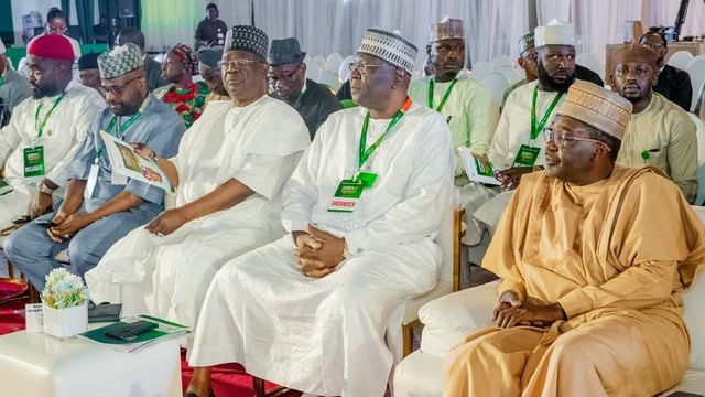 Stop relying on Abuja for power solutions — Shettima tasks Governors