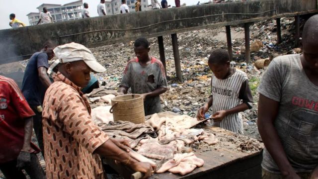 NBRDA, EHCON explore biogas solution to abattoir waste challenge