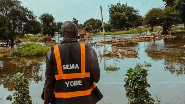 Floods, windstorms affect 38,820 people, displace 1,181 in Yobe — Director