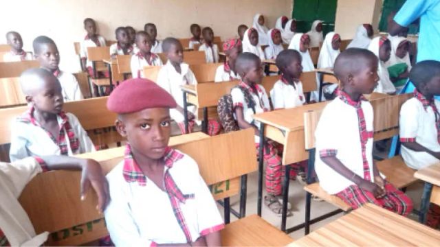 NOA unveils reporting platform to counter violence in Bauchi schools