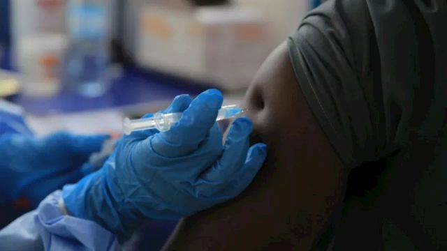 Nigeria has no confirmed Ebola case — WHO