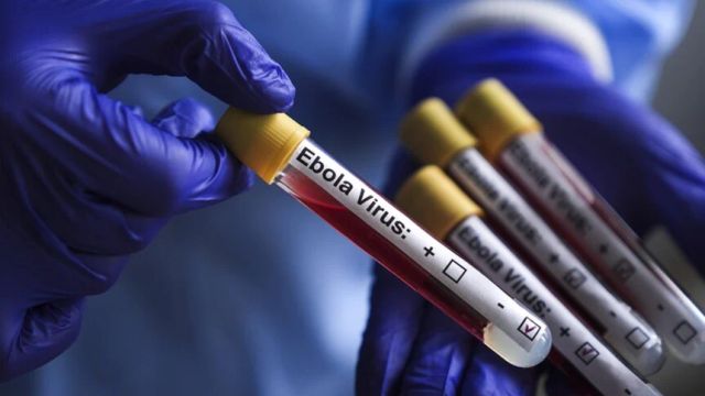 WHO says Nigeria has no Ebola cases after patient’s evacuation to Switzerland