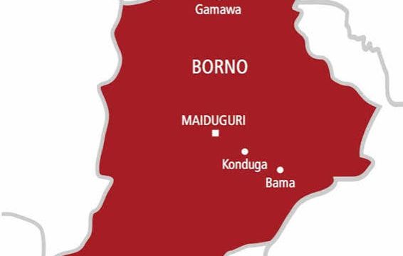 Borno intensifies hygiene campaign in schools, communities