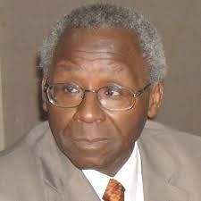 Tomori urges investment in pandemic preparedness to avoid trillion-dollar losses