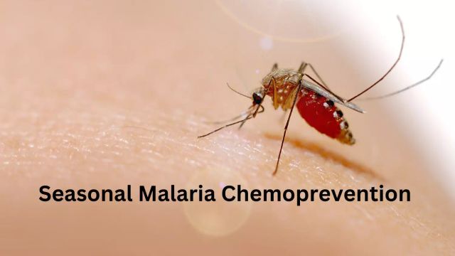 Kaduna Govt Inaugurates Committee for Seasonal Malaria Chemoprevention