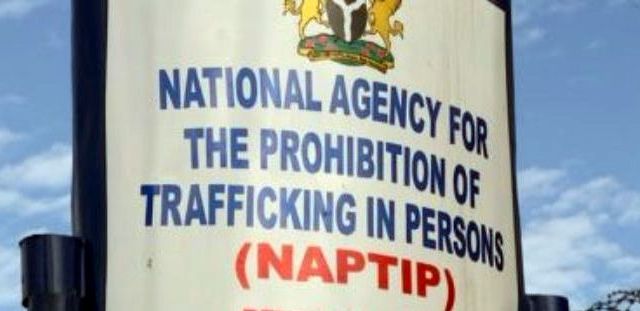 NAPTIP urges stiffer penalties for rape