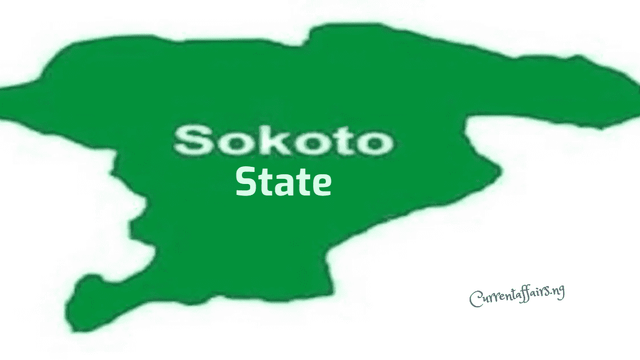 Sokoto seeks stronger collaboration to tackle GBV