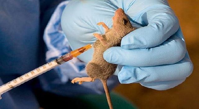Lassa fever treatment: Ondo Assembly tasks government on access to hospital