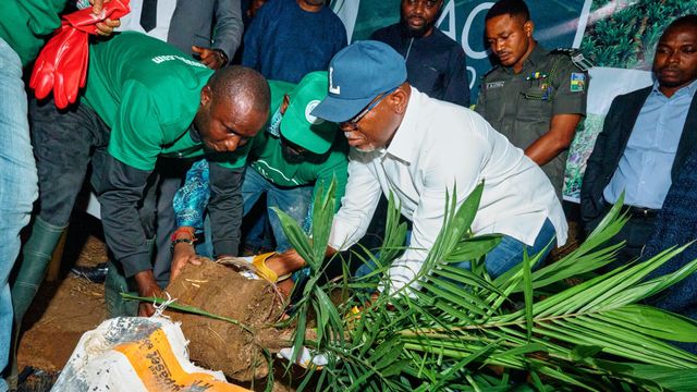Gov.Aiyedatiwa launches 1,000-hectare coffee plantation project