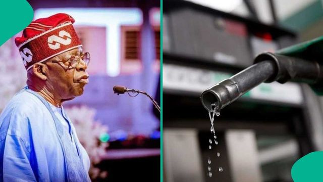 BREAKING: Obi backs Tinubu on fuel subsidy removal