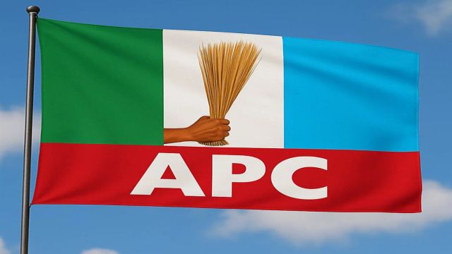 APC names 11 deputy directors-general for 2027 campaign