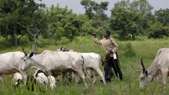 2 herders in court over alleged unlawful grazing