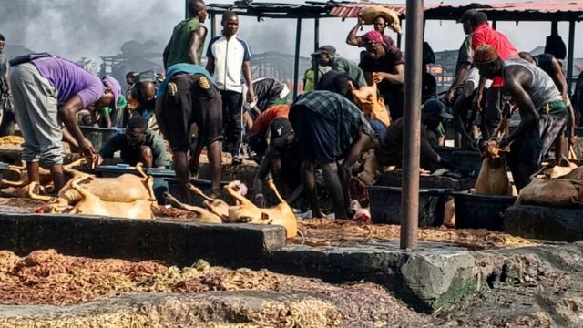 Unhygienic conditions at Anagada slaughterhouse worry Gwagwalada residents