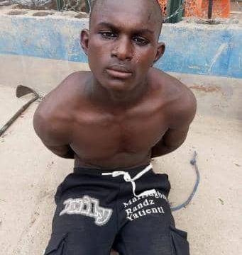 Troops arrest suspected ISWAP operative, recover photo of armed men in Borno