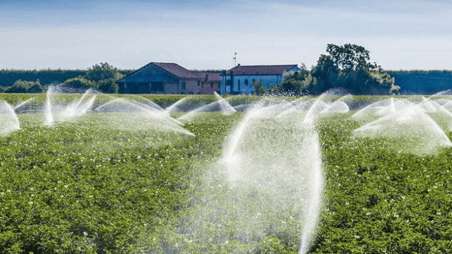 Kano, FG expanding irrigation infrastructure to boost food security, economic dev’t — Gov. Yusuf