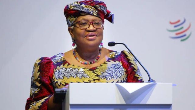 Why Niger Delta states should establish viable economic zones — WTO DG