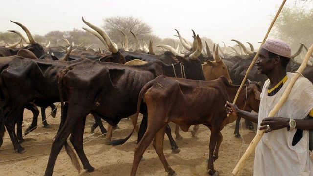 Farmer missing for two years after alleged herdsmen attack