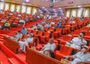 We may severe economic ties over renewed xenophobic attacks on Nigerians — Senate tells S/Africa
