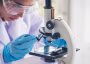 Cancer treatment: Scientists use plant extracts to create silver nanoparticles