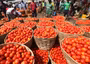 Nigeria may face rice, tomato scarcity in 3 months — OTACCWA