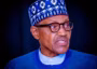 Buhari didn’t create PFIPC – Media Organisation