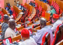 Senate expands probe of Safe Schools, summons TETFund, NELFUND