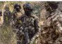 Troops rescue nine kidnap victims, recover 56 rustled livestock in Katsina