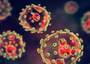 Lassa fever: NCDC activates emergency response, as fatality rate hits 24%