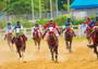 Tinubu reiterates support for horse racing revival
