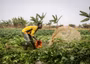 Nigeria’s food security begins before the farm