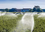 Kano, FG expanding irrigation infrastructure to boost food security, economic dev’t — Gov. Yusuf