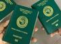 Immigration deploys passport intervention for UK backlog