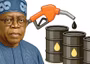 Restoring fuel subsidy will reverse Nigeria’s economic gains