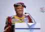 Why Niger Delta states should establish viable economic zones — WTO DG