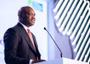 NSIA launches $300m fund to finance Nigeria’s renewable energy market