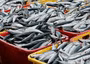 Fish importation bill drops to ₦167.9bn in Q2 2026 — Report