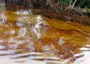 CSOs advocate urgent action on pollution, ecological crises in N’Delta