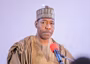 Zulum calls on N/E states to redeem air shuttle contributions