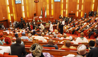 Senate extension of NASS staff retirement age to 65 years: Matters arising