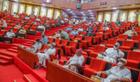 We may severe economic ties over renewed xenophobic attacks on Nigerians — Senate tells S/Africa