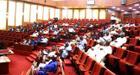 Budget Padding: Salient questions nobody is asking Ningi