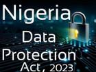 Rethinking the NDPA Amendment