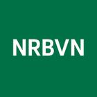 NRBVN alone won’t fix Nigeria’s foreign exchange crisis
