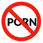Pornography ban: Looming fascism or common sense?