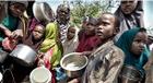 Nigeria’s hunger crisis demands proactive action, not rituals