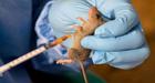Lassa fever crisis needs action not excuses