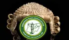 NBA condemns assaults on Women at Ozoro festival